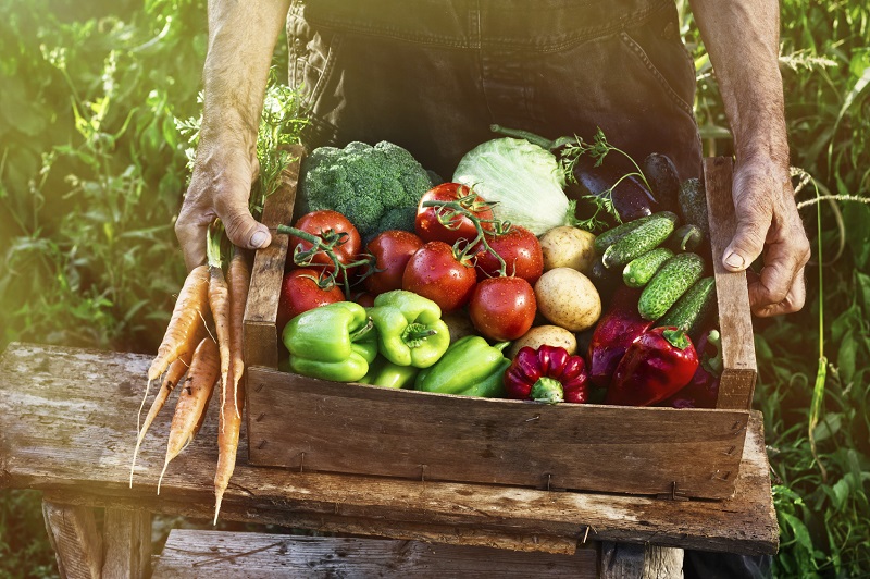 Mangez vos fruits et légumes – et découvrez pourquoi!